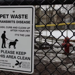 An image of a white sign with black text " PET WASTE TRANSMITS DISEASE LEASE, CURB AND CLEAN UP AFTER YOUR PET IT'S THE LAW PLEASE KEEP THIS AREA CLEAN. $50 FINE PER CITY ORDINANCE SECTION 16-1.10A BOSTON PARKS AND RECREATION."